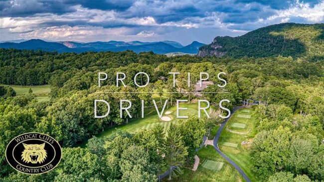 screenshot of Pro Tips video